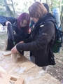  Ptasi Piknik