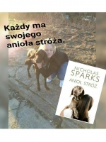 Nicholas Sparks, Anioł stróż