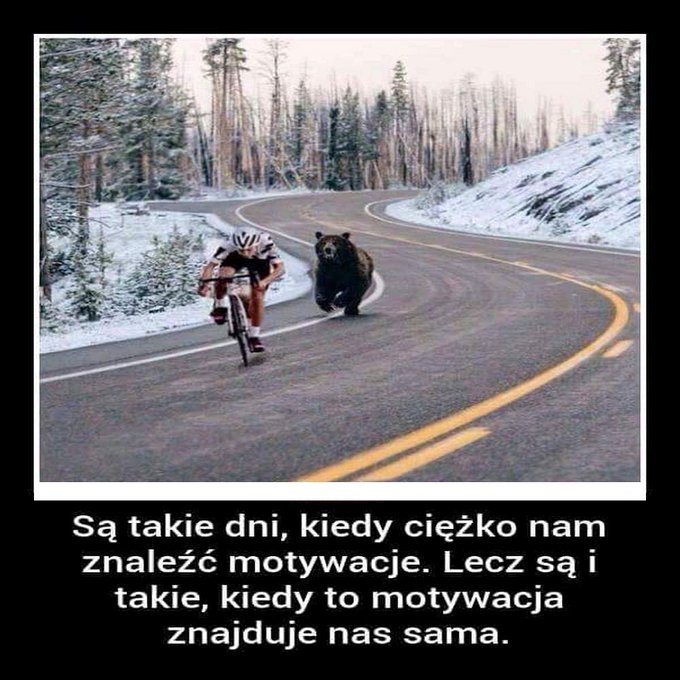 mt_ignore: motywacja