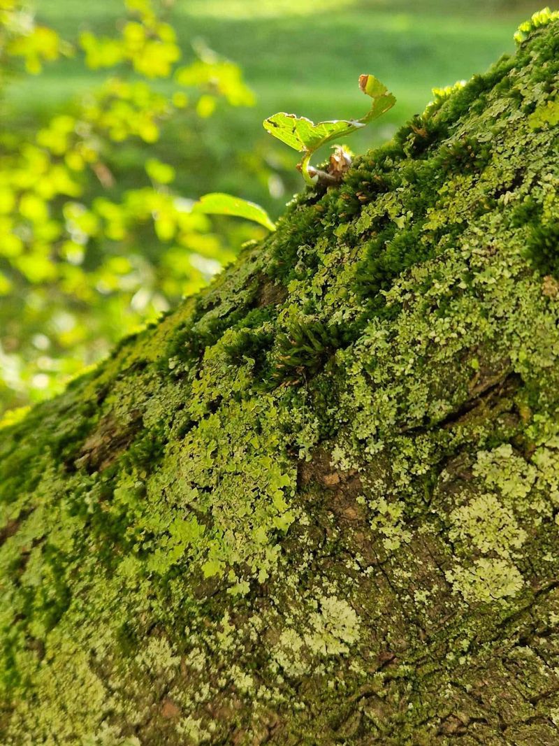 mt_gallery: Wojewódzki Konkurs Fotograficzny ,,Podróże w Naturze 2024"