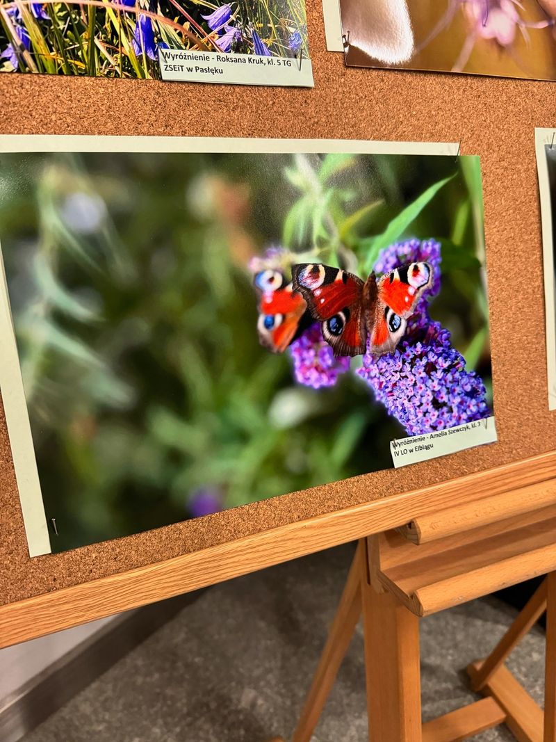 mt_gallery: Wojewódzki konkurs fotograficzny - Podróże w Naturze 2025